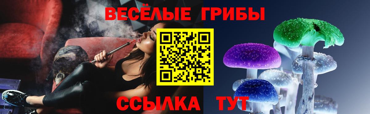 Галлюциногенные грибы Cubensis  Вход с VPN  Галлюциногенные грибы Psilocybe  Новокуйбышевск 