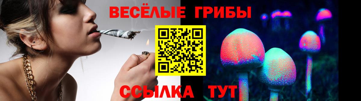 Галлюциногенные грибы GOLDEN TEACHER Новокуйбышевск