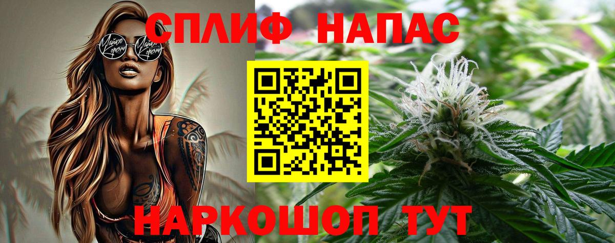 Бошки марихуана планчик Новокуйбышевск